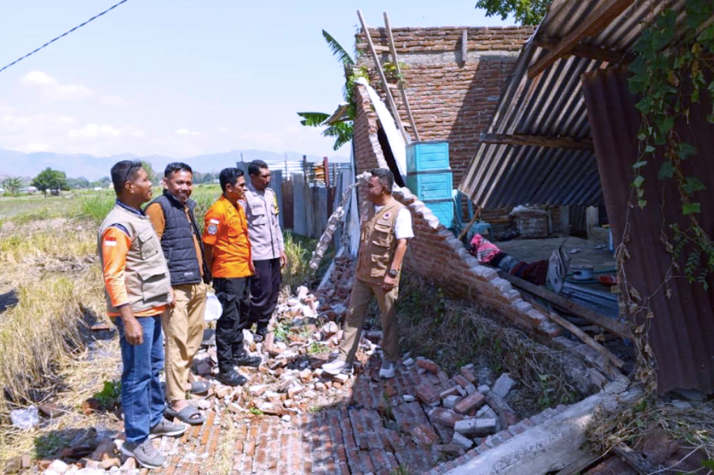 Kepala BNPB Ungkap Prioritas Penanganan Gempa NTT, Masih Ada Korban Terjebak Reruntuhan
