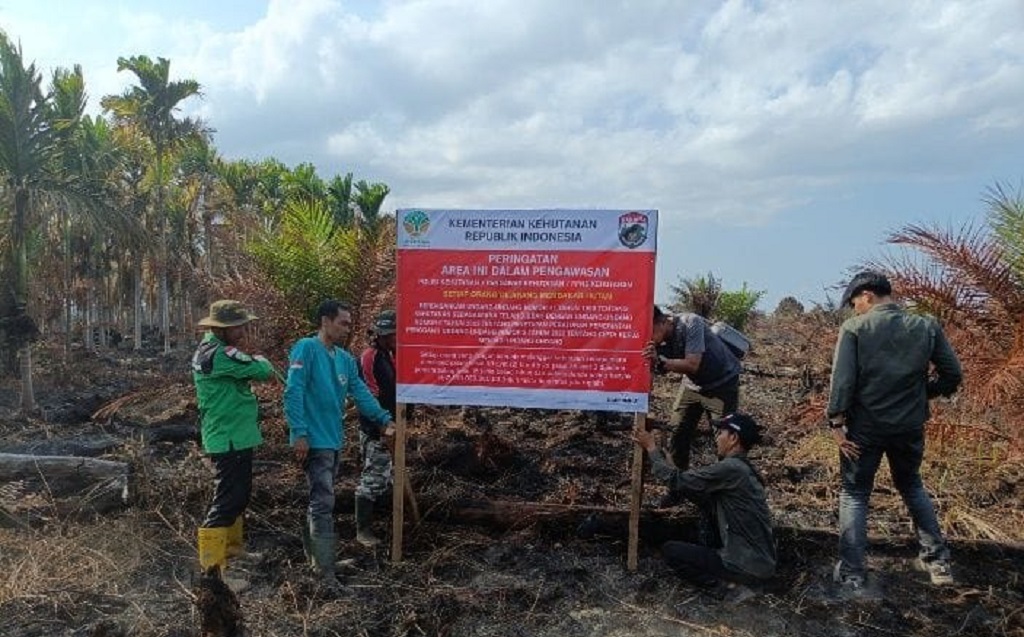 Kemenhut Usut Karhutla Hutan Produksi di Musi Banyuasin, Langsung Segel Lahan