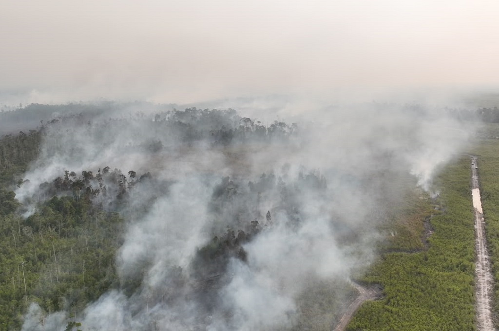 Hadapi Karhutla, BNPB Perkuat Operasi Udara di 6 Provinsi Prioritas