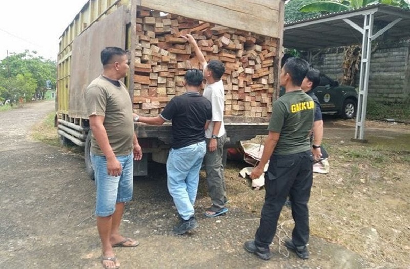 Kemenhut Tangkap Pelaku Pembalakan Liar di TNBT Jambi, Sudah Belasan Kali Angkut Kayu
