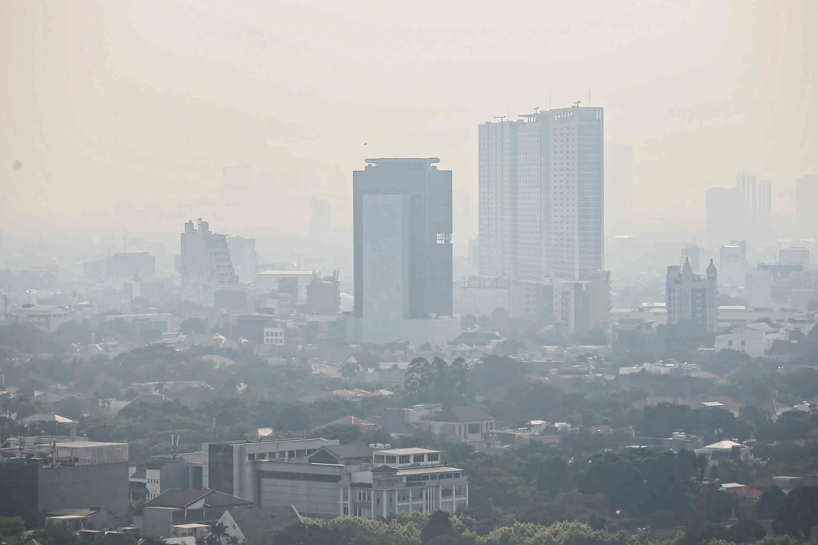 Polusi Udara Tidak Hanya Ganggu Pernapasan, Ini Bahayanya!