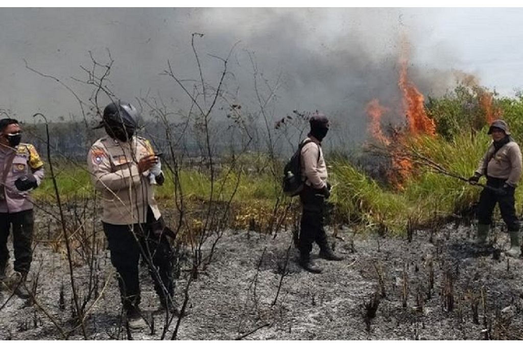 Kebakaran Hutan Taman Nasional Way Kambas Lampung, Petugas Gabungan Berjibaku Padamkan Api