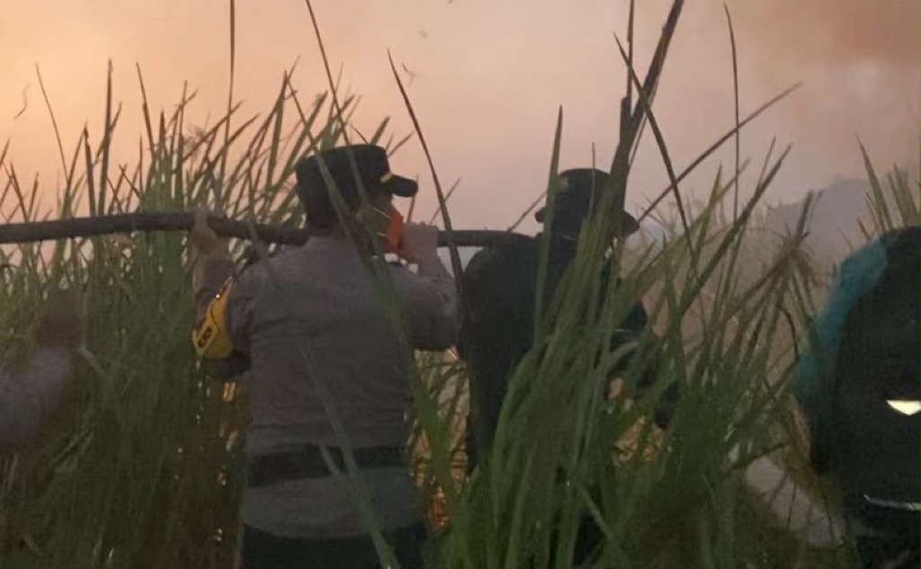 Karhutla di Way Kambas Padam, 200 Personel Gabungan Masih Siaga Cegah Api Kembali