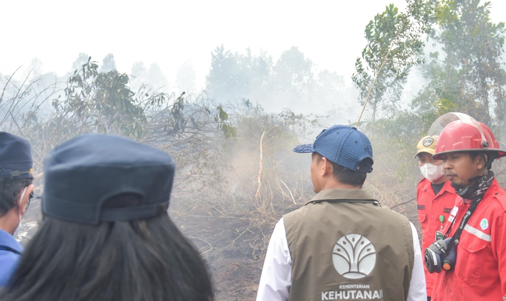 Karhutla di Banjar Kalsel Belum Padam Total, Menhut: Gambut Masih Berasap dari Bawah