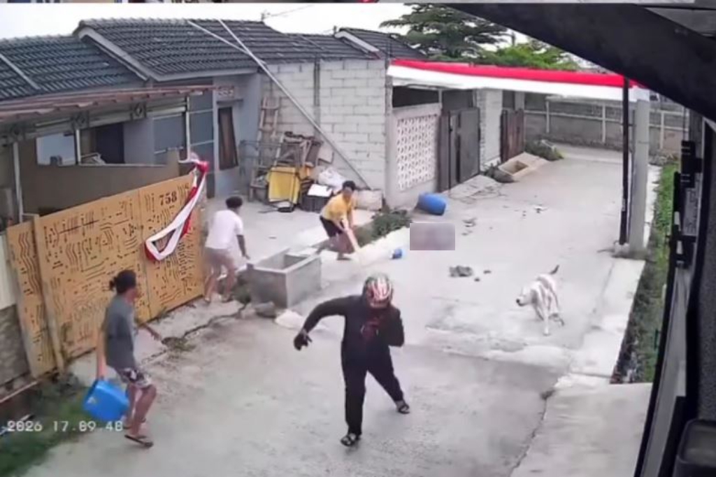 Ngeri! Terekam Video Anjing Pitbull Lepas Gigit Anak Perempuan 9 Tahun di Bandung