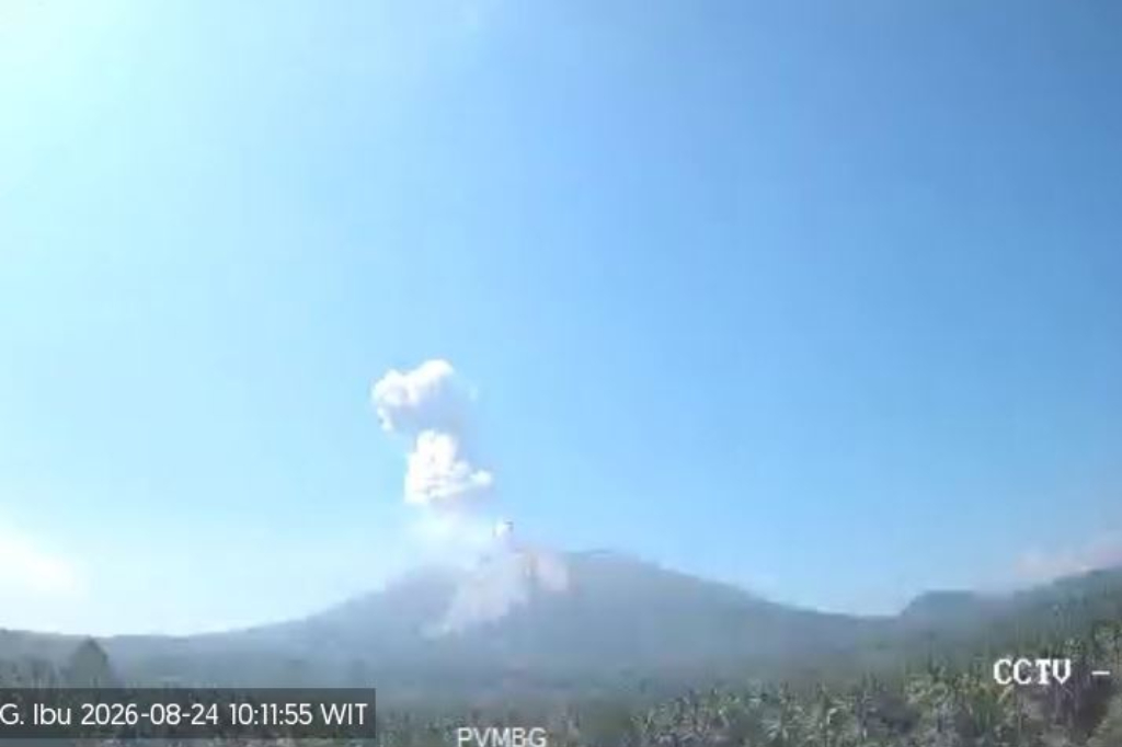 Gunung Ibu Erupsi Hari Ini, Kolom Abu Membubung Setinggi 800 Meter ke Langit