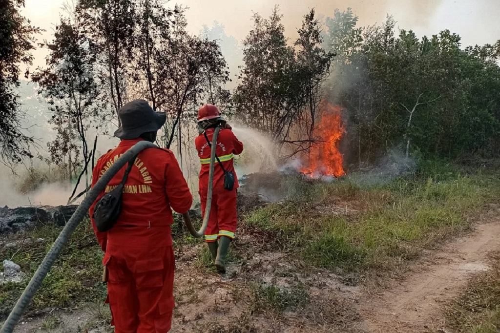 Karhutla Kalimantan Mengganas, Kepala BNPB Ungkap Api Membara di Bawah Lahan Gambut