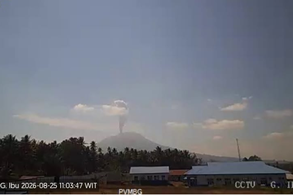 Gunung Ibu Erupsi, Muntahkan Kolom Abu Vulkanis Setinggi 1 Km