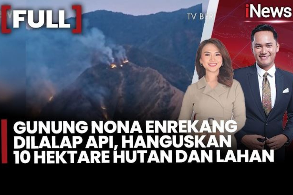 Gunung Nona Enrekang Terbakar, 10 Hektare Hutan Hangus Dilalap Api