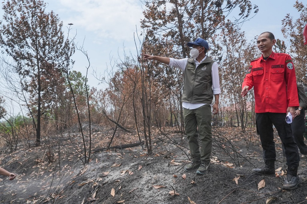 Menhut Pantau Karhutla di Kaltim: Jangan sampai Habitat Orangutan Terganggu