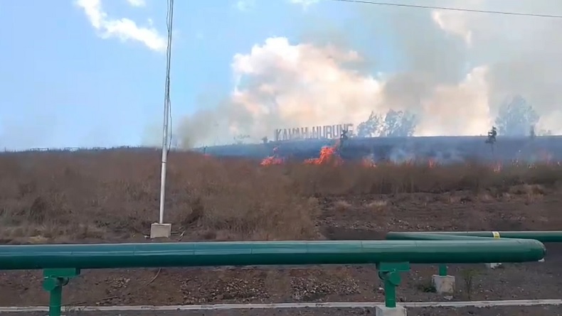 Padang Savana Kawah Wurung Bondowoso Terbakar, Api Cepat Merambat