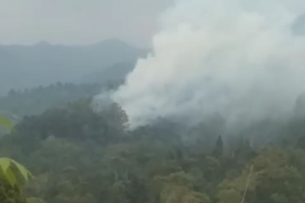 Kebakaran Gunung Burangrang Purwakarta Meluas, Hanguskan 3 Hektare Lahan Hutan
