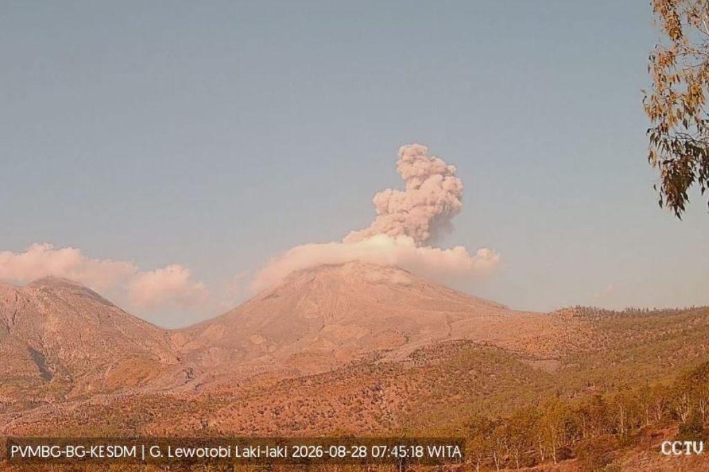 Gunung Lewotobi Laki-laki di NTT Erupsi, Muntahkan Abu Vulkanis Setinggi 1 Km