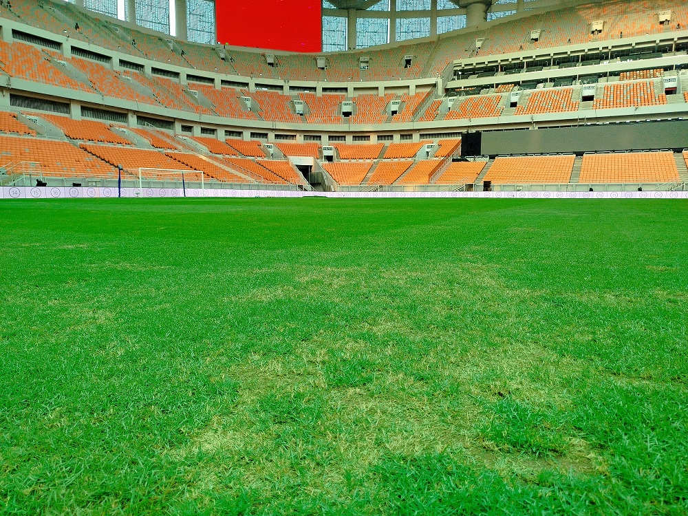 Rumput JIS Tak Merata Jelang Persija Vs Brisbane Roar, Ada Perbedaan Mencolok