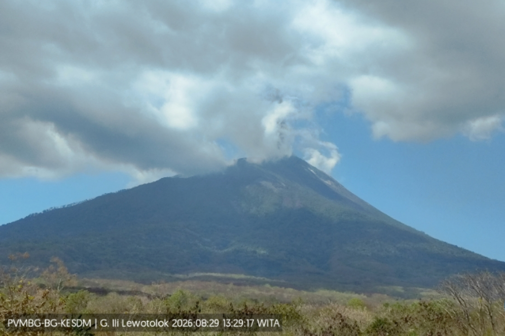 Gunung Ile Lewotolok Erupsi, Kolom Abu Tebal Membubung Setinggi 800 Meter