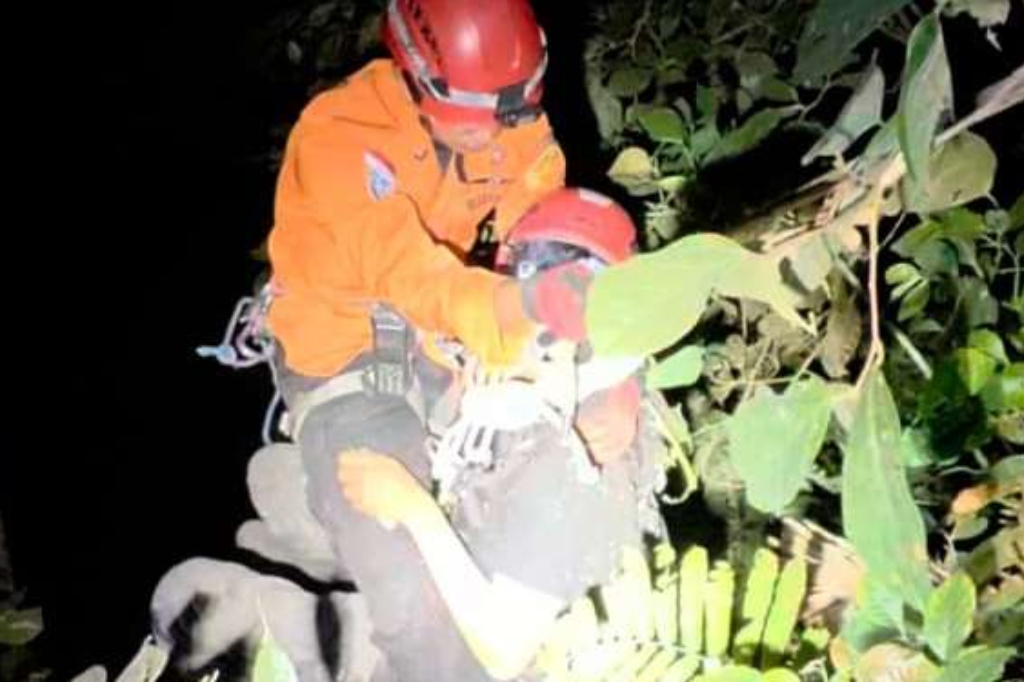 Susuri Hutan Curug Lawe demi Dokumentasikan Reptil, Pemuda Ini Jatuh ke Jurang 40 Meter