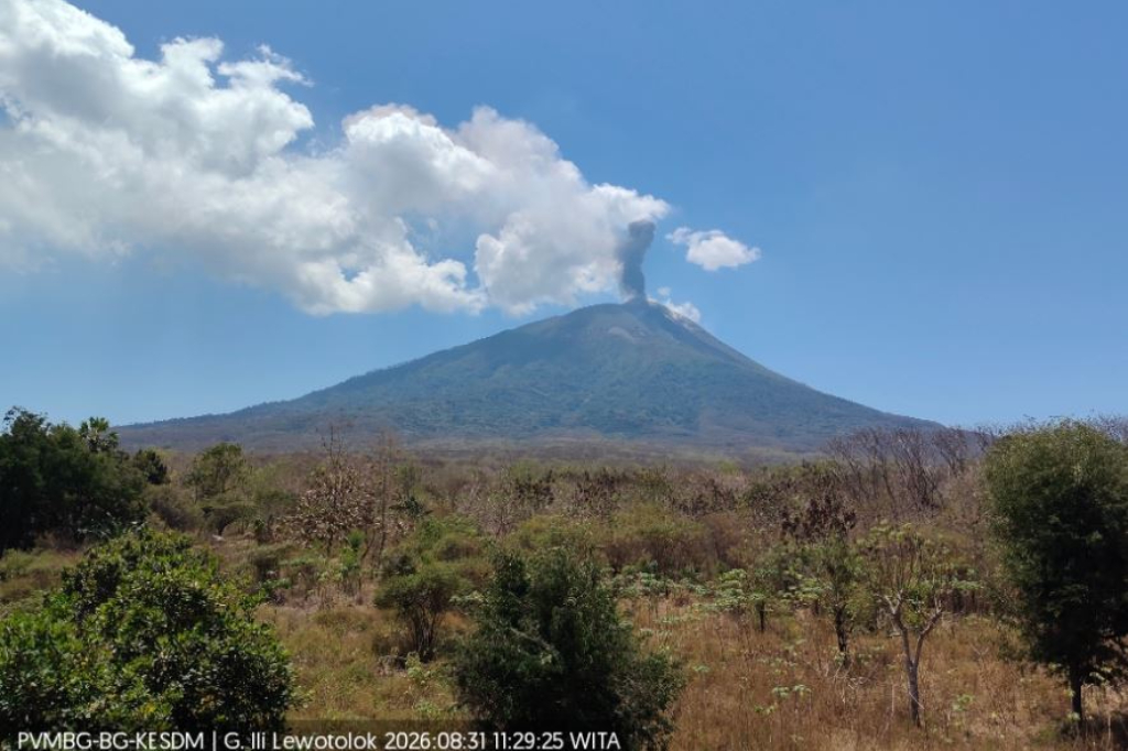 Gunung Ile Lewotolok Erupsi, Abu Tebal Membubung Setinggi 700 Meter ke Langit