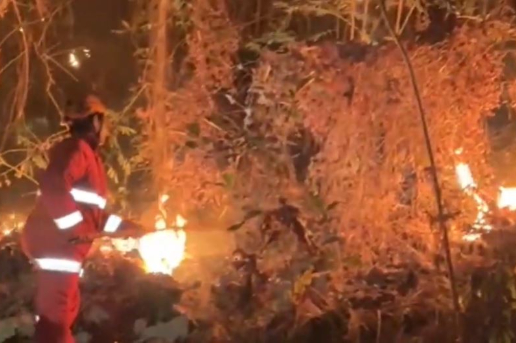 Karhutla Gunung Trianggulasih Jember, Petugas Padamkan Api 5 Jam secara Manual