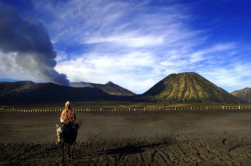Pemerintah Tutup 9 Taman Nasional gegara Rawan Karhutla, Ini Daftarnya