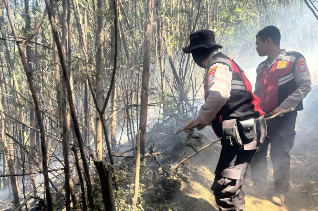 Kebakaran Semeru Meluas, Petugas Padamkan Api Manual di Medan Terjal