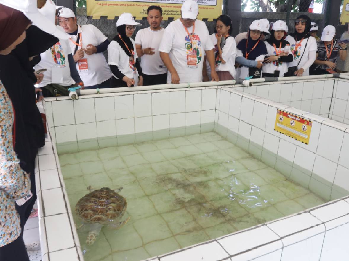 Jelajah Kepulauan Seribu: Ada Penyu hingga Indahnya Terumbu Karang