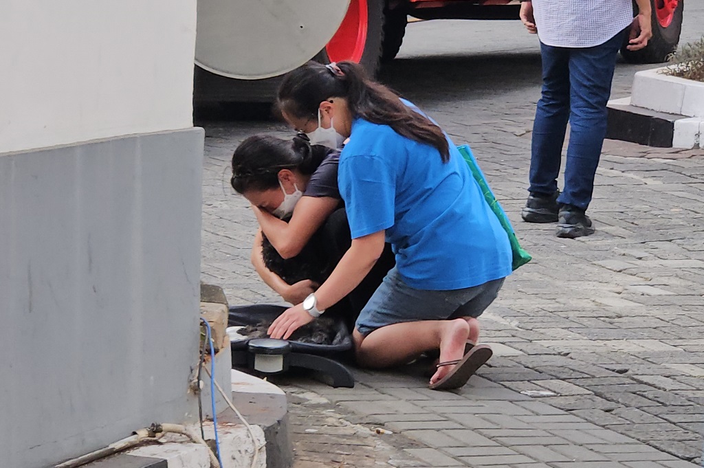 9 Hewan Peliharaan Mati akibat Kebakaran Apartemen di Tanah Abang Jakpus