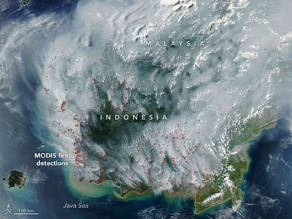 Miris! NASA Rilis Foto Indonesia dari Satelit, Kabut Asap Karhutla Selimuti Semua Wilayah