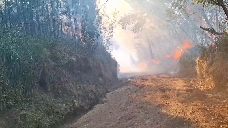 Karhutla Melanda Kawah Ijen, Api Merambat hingga Dekati Jalur Pendakian