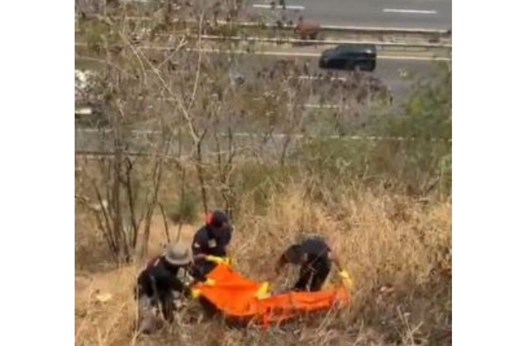 Kerangka Manusia Ditemukan di Pinggir Tol Jangli, Diduga terkait Kasus Gadis Mozza yang Hilang