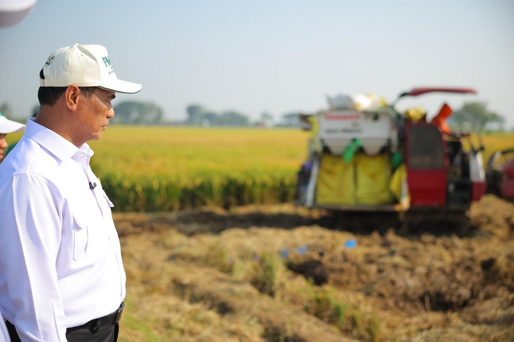 BPS: Produksi Beras Januari-April 2026 Tumbuh, Luas Panen dan Produksi Padi Ikut Naik