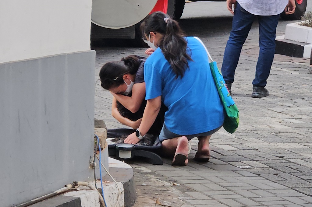 Sedih, Penghuni Apartemen di Tanah Abang Tangisi 2 Anjingnya yang Mati akibat Kebakaran
