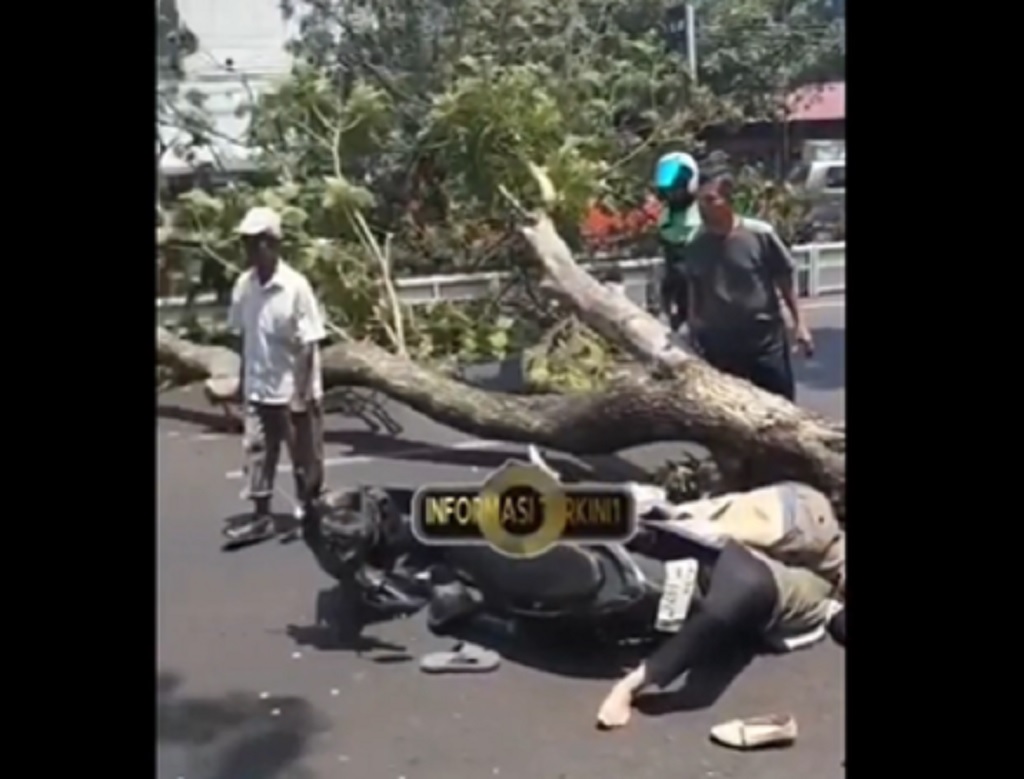 Tragis! Pasutri Tewas Tertimpa Pohon Tumbang di Jalan Pandanaran Semarang