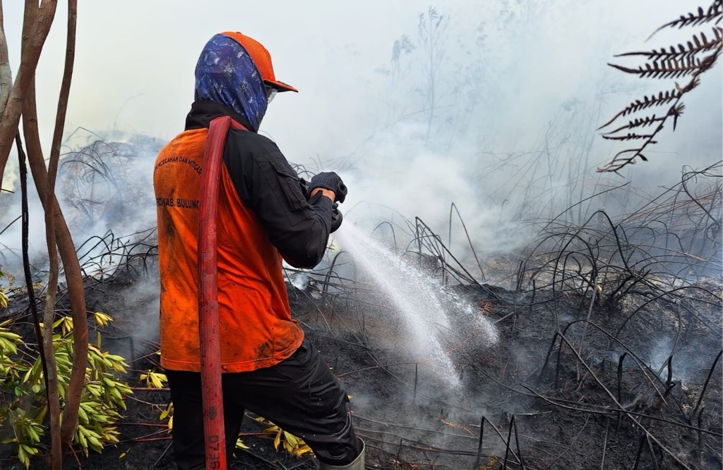 Karhutla Masih Dominasi Bencana, Riau Paling Luas Capai 18.882 Hektare