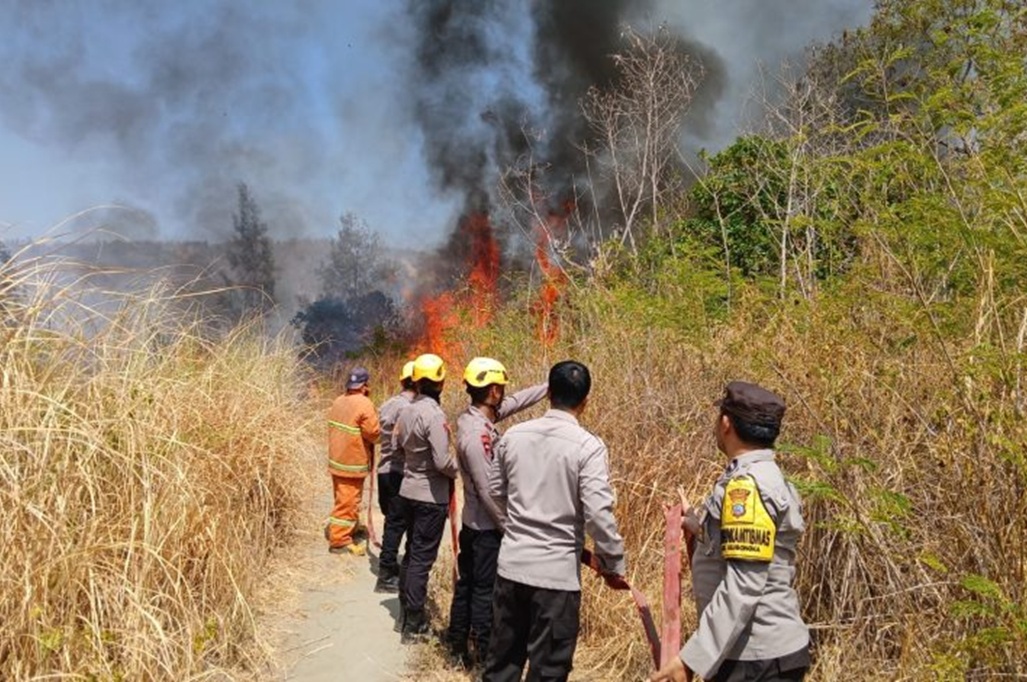 Karhutla di Mamasa Sulbar Hanguskan 5 Ha Lahan, Petugas Berjibaku Padamkan Api