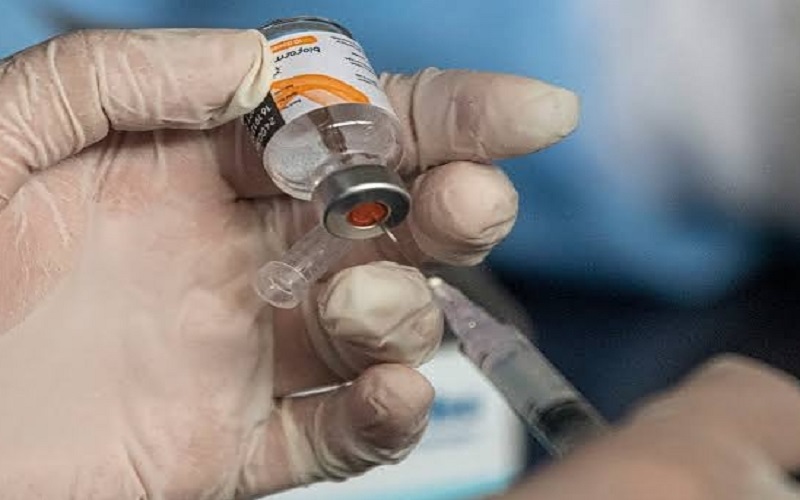 BRIN Siapkan 3 Kandidat Vaksin Malaria, Ditargetkan Beredar dalam 2 Tahun