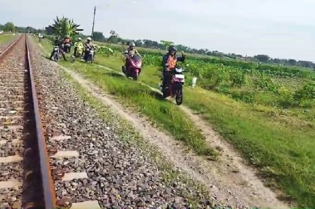 Ratusan Sapi Mati Tertabrak Kereta di Sumut, KAI Minta Warga Tak Biarkan Ternak Berkeliaran