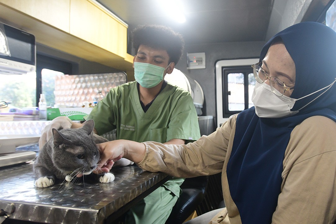Pemprov DKI Tambah 5 Puskeswan, Akses Layanan Kesehatan Hewan Makin Dekat