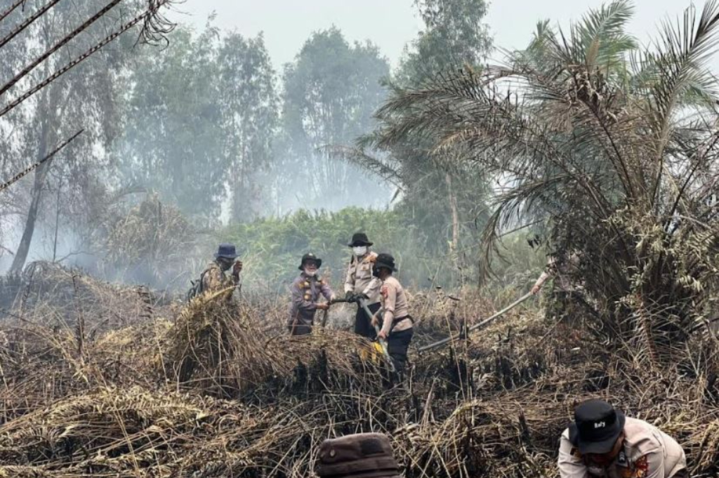 Karhutla Riau Makin Serius, 45 Kasus Diproses Hukum dan 49 Orang Jadi Tersangka