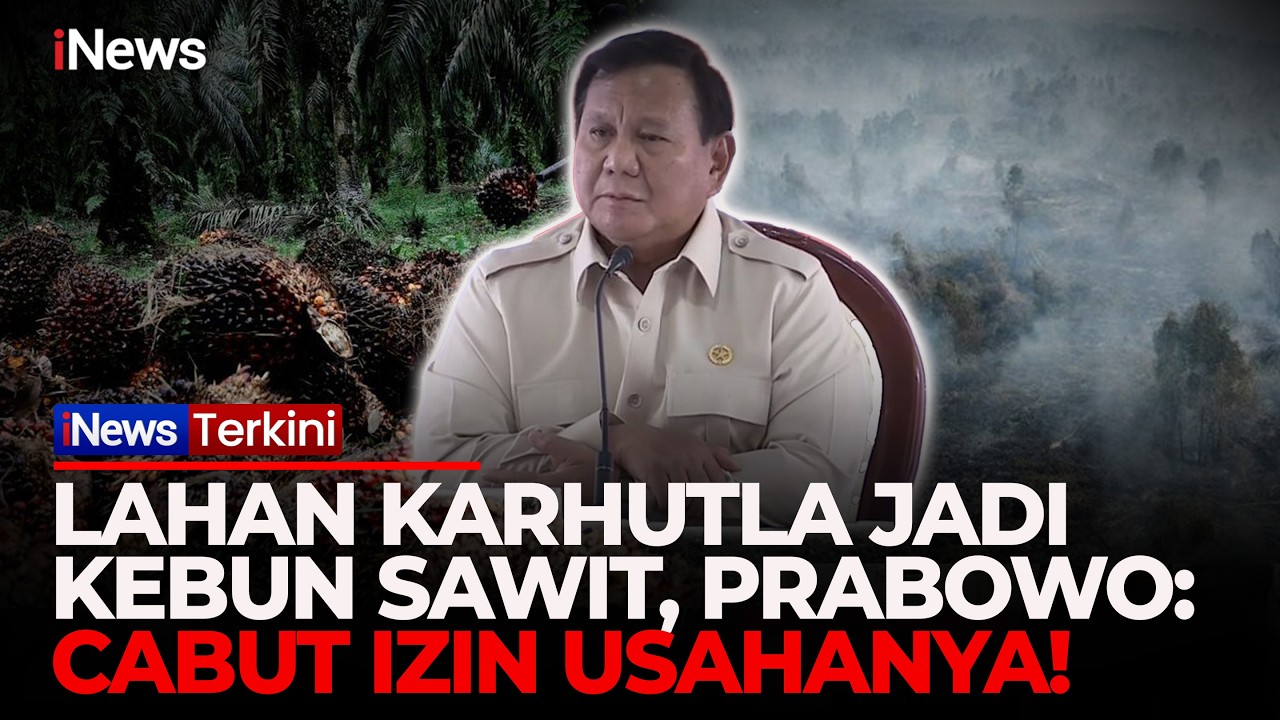 Prabowo Geram Lahan Bekas Karhutla Jadi Kebun Sawit! Terbukti Melanggar HGU dan Izin Dicabut