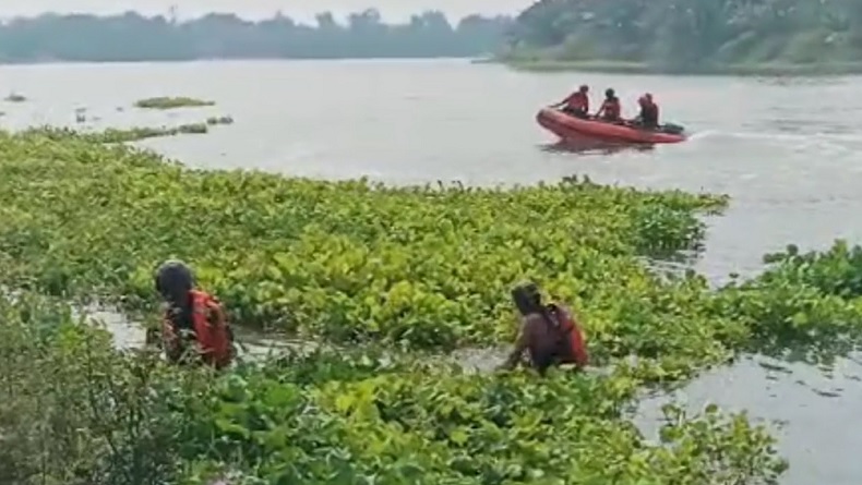 Pria di Jombang Hilang Usai Kecelakaan, Ditemukan Tewas di Bawah Eceng Gondok Sungai Brantas