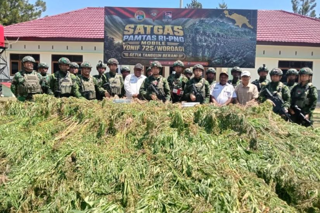 TNI Temukan 21.400 Batang Ganja di Yahukimo Senilai Rp8 Miliar, Diduga terkait OPM