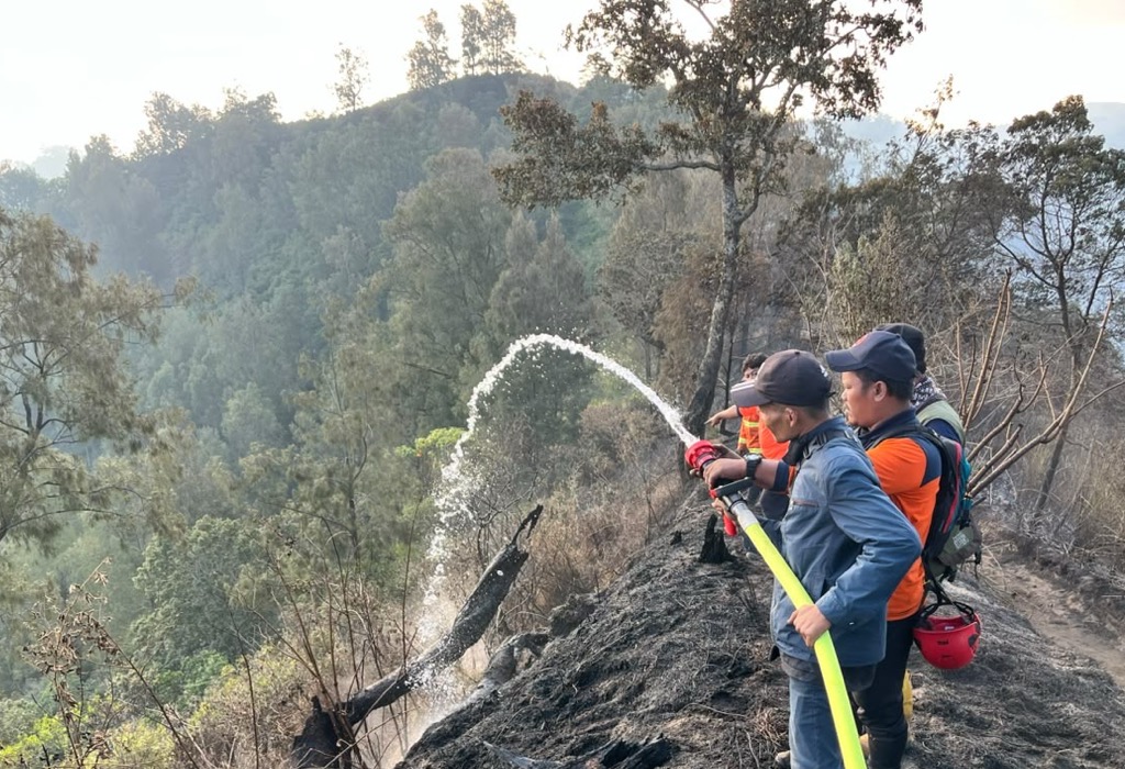 Karhutla Kepung 4 Gunung Jatim, Bromo hingga Argopuro Masih Terpantau Asap