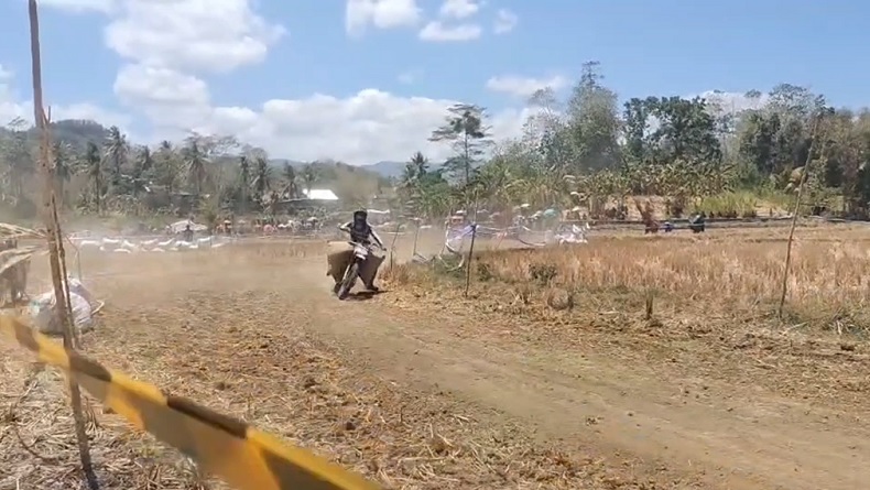 Seru! Pesta Panen Kading Cap Race 2026, Puluhan Joki Taksi Gabah Adu Cepat di Barru