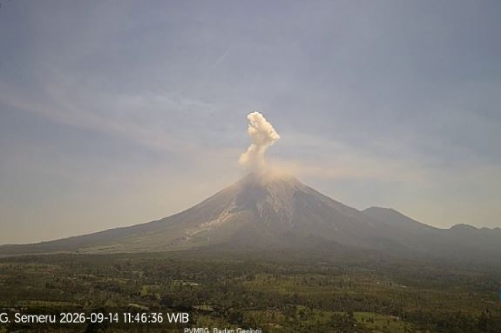 Gunung Semeru Meletus Siang Ini, Muntahkan Abu Tebal Setinggi 1 Km ke Langit