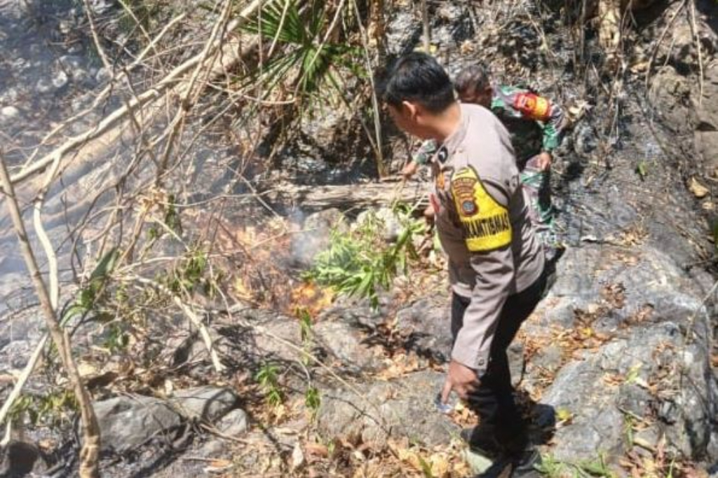 Kebakaran Lahan di Bolmong Utara Hanguskan 20 Hektare Perkebunan, Api Berhasil Dipadamkan