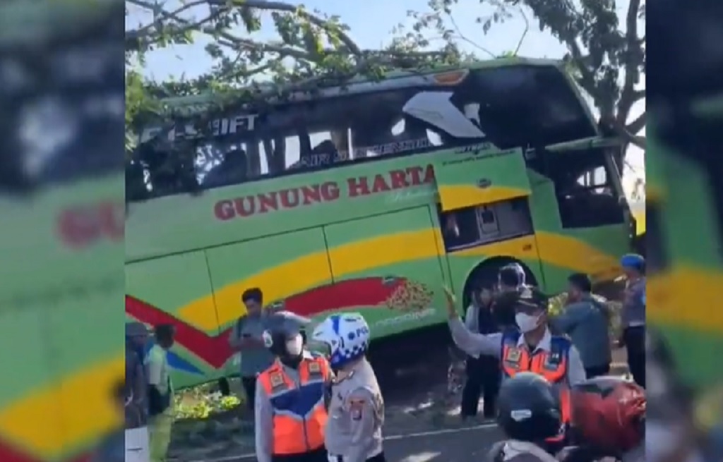 Bus Gunung Harta Tabrak 2 Pohon di Tuban gegara Sopir Tersedak Kopi saat Nyetir
