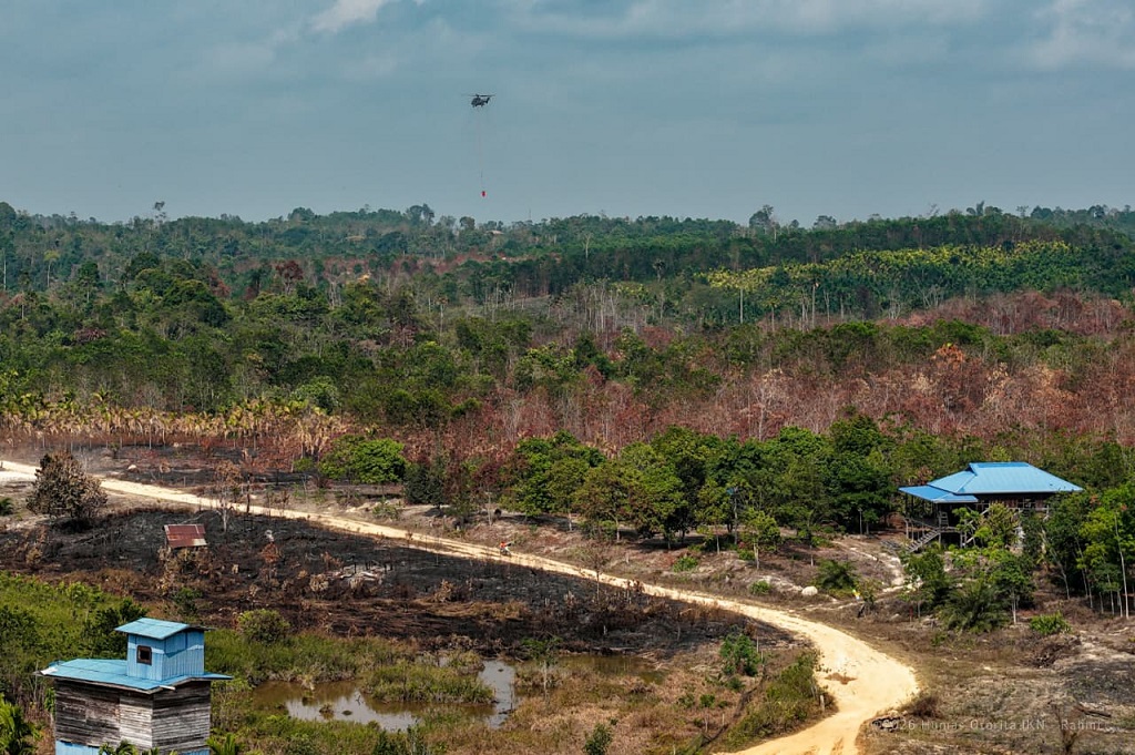 IKN Terancam Karhutla, Pemerintah Lindungi Zona Inti Termasuk Istana agar Tetap Aman