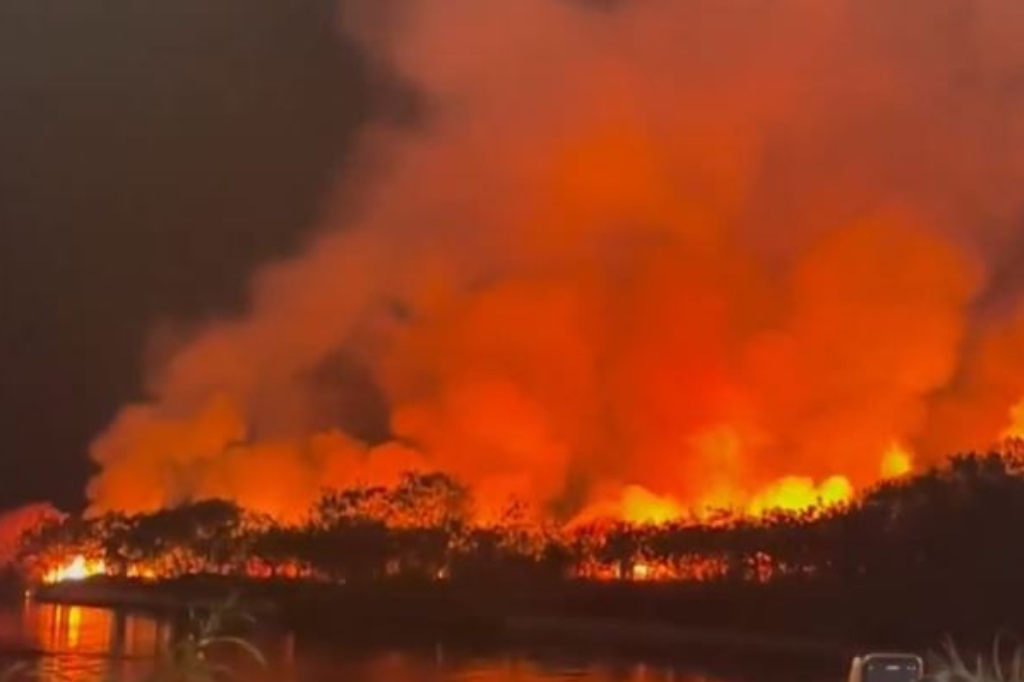 Kebakaran Lahan Kosong di Pantai Marina Semarang, 3 Orang Ditangkap 1 Kabur