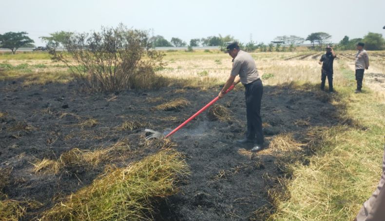 Kebakaran Lahan di Pinggir Tol Pejagan-Pemalang, Pengendara Diimbau Waspada