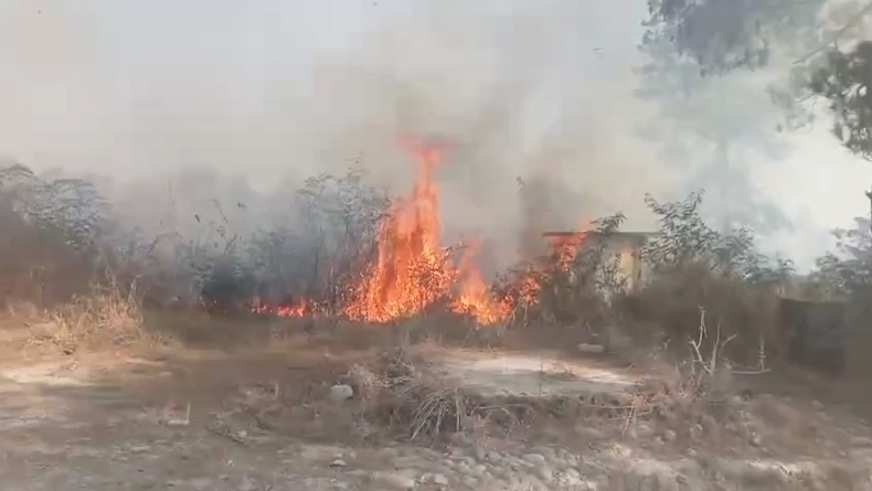 Api Hanguskan 4 Hektare Hutan di Kawasan Gunung Merapi Magelang